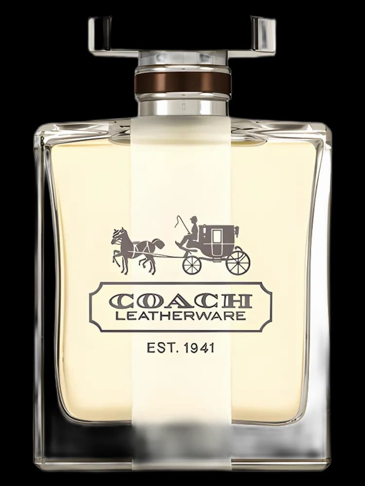 Coach Leatherware for men