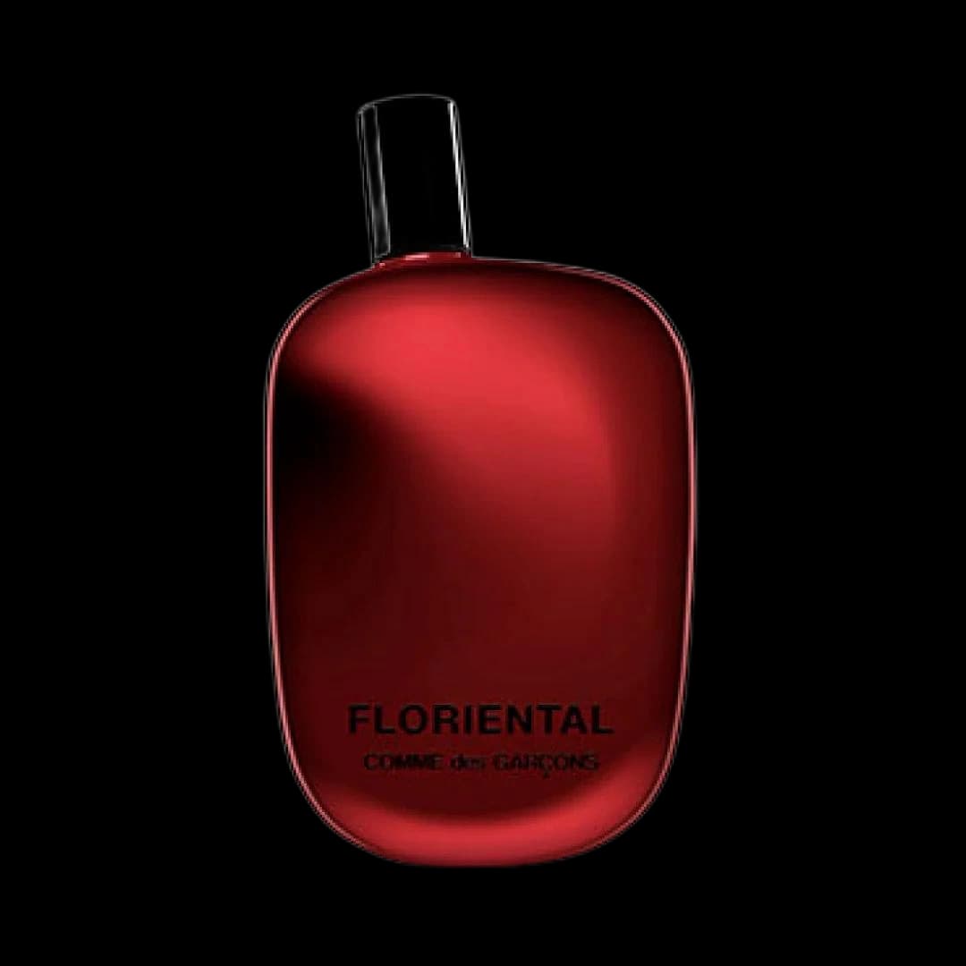 Comme Des Garcons Floriental