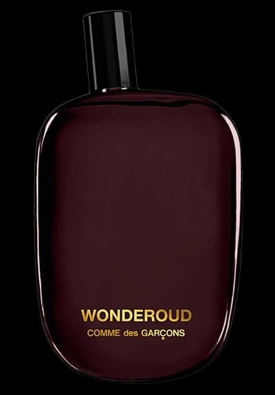 Comme Des Garcons Wonderoud