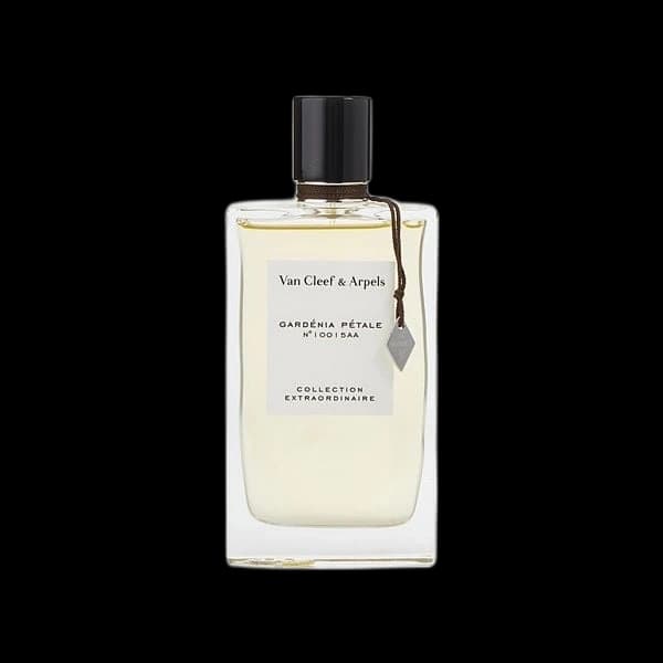 Gardenia Petale
