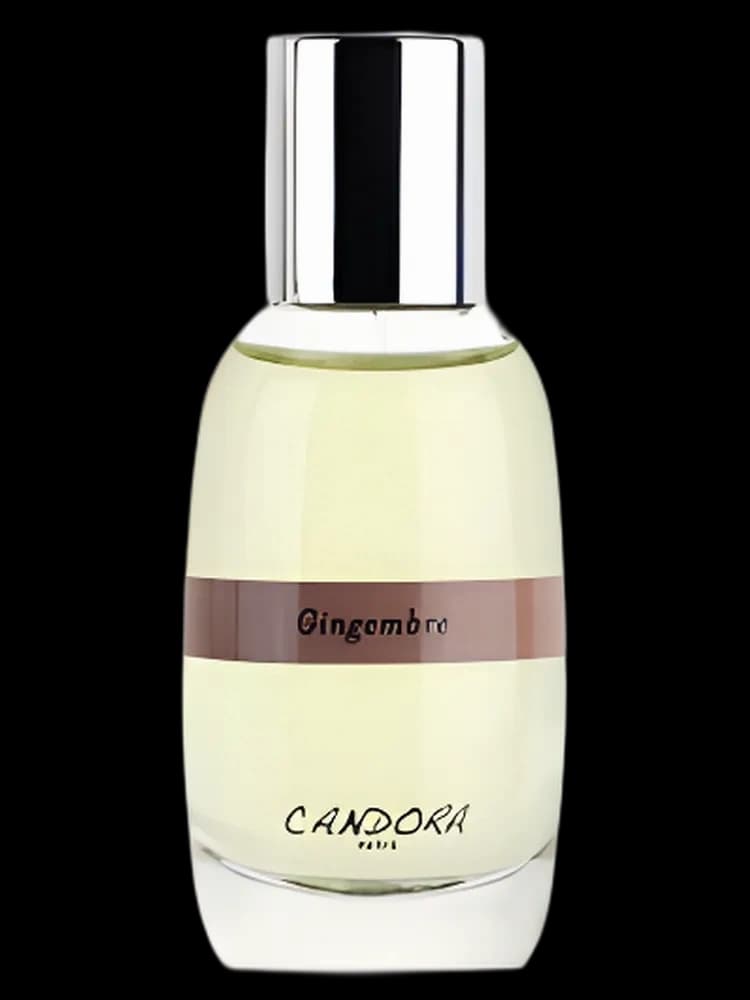 Gingembre unisex