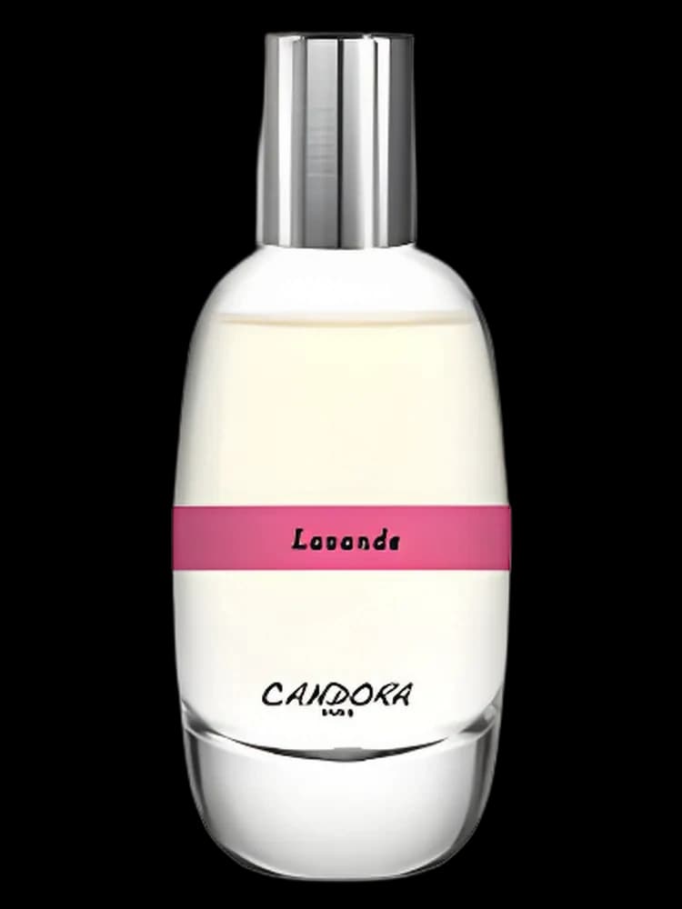Lavande unisex