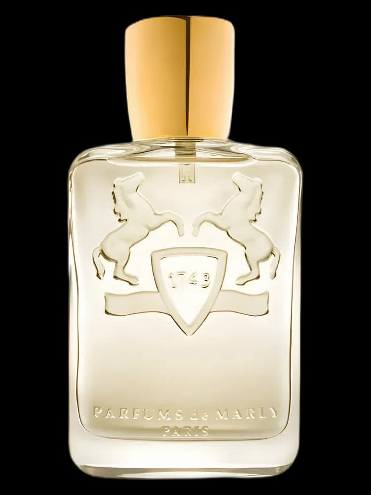 Lippizan for men