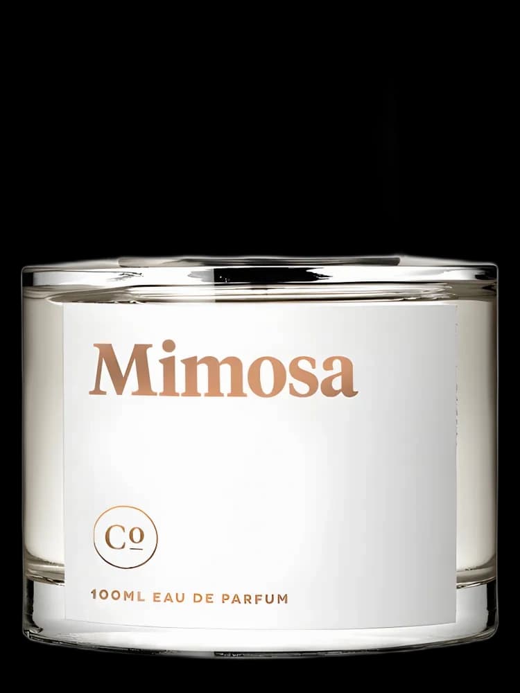 Mimosa for women