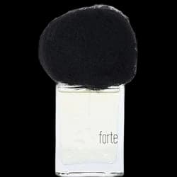 Pioggia Forte