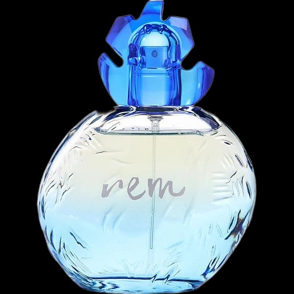 Reminiscence Rem