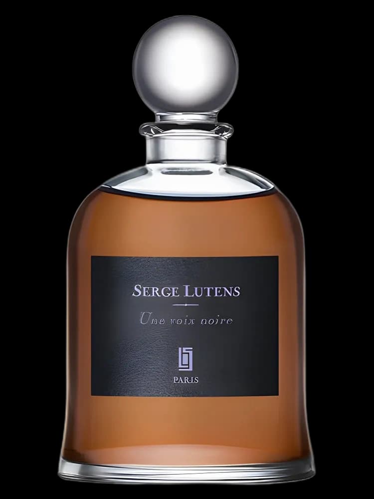 Une Voix Noire unisex