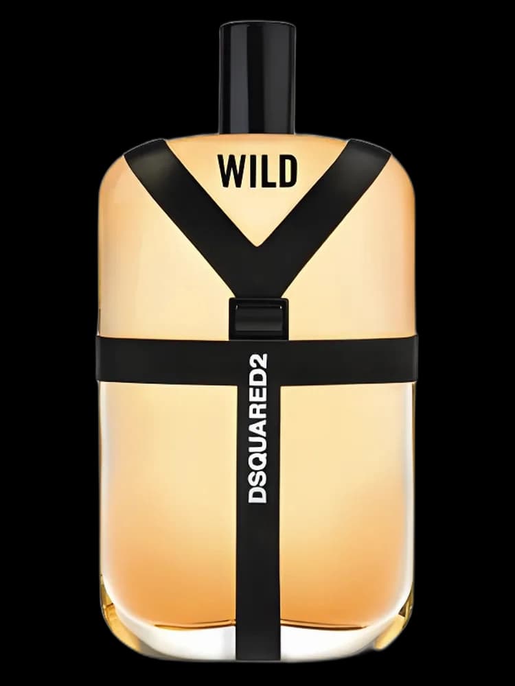 Wild DSQUARED2 for men